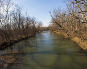 Big Darby Creek enclosed by barren trees and a blue sky.