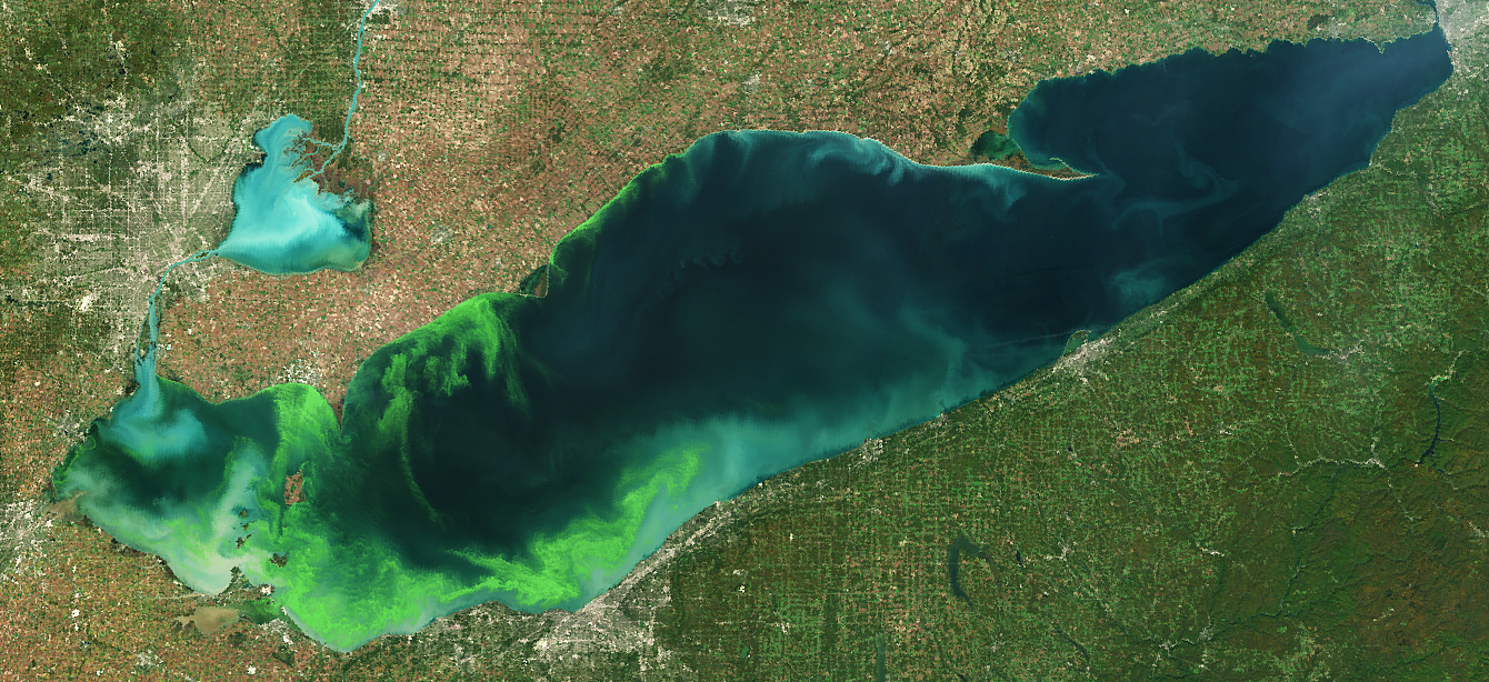 Harmful algal bloom in western Lake Erie in October, 2011. Credit: NOAA Great Lakes CoastWatch