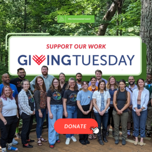 "support our work Giving Tuesday" with OEC staff in foreground and a donate button