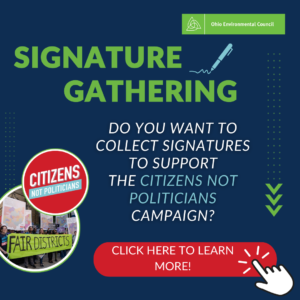 Learn how to collect signatures to support the Citizens Not Politicians campaign